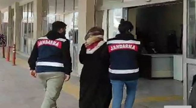 Urfa'da terör operasyonu! 4 gözaltı