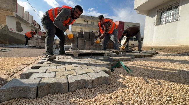 Suruç'ta Şehrin Her Noktasında Çalışmalar Devam Ediyor 