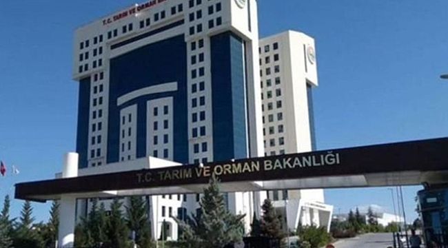 Tarım ve Orman Bakanlığı ilana çıktı! 5500 personel alınacak!