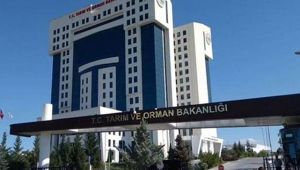 Tarım ve Orman Bakanlığı ilana çıktı! 5500 personel alınacak!