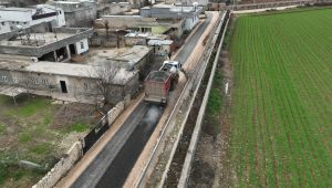 Harran Sehrince’de Asfalt Çalışmaları Başladı