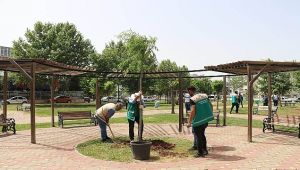 Haliliye Belediyesi ile parklar yaza hazırlanıyor