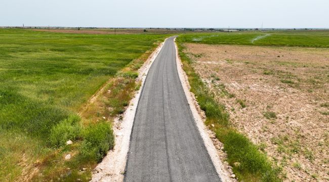 Harran'da Bağlantı Yolları Asfaltlanıyor