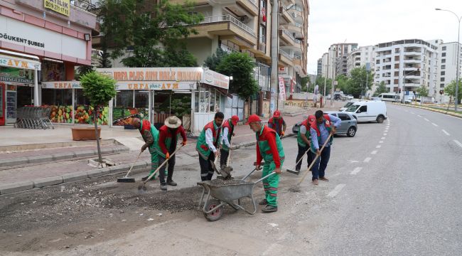 Başkan Nihat Çiftçi, 