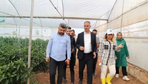 Eyyübiye Sera Kent Çiftçilere Eğitim Desteği Verecek
