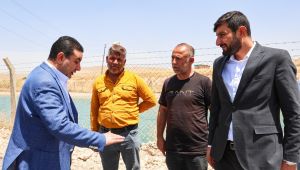 Harran'da Konforlu Bir Ulaşım için Asfalt Çalışmaları Sürüyor
