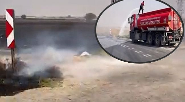 Harran'da Anız Yakan Çiftçiye 451 Bin Para Cezası Kesildi