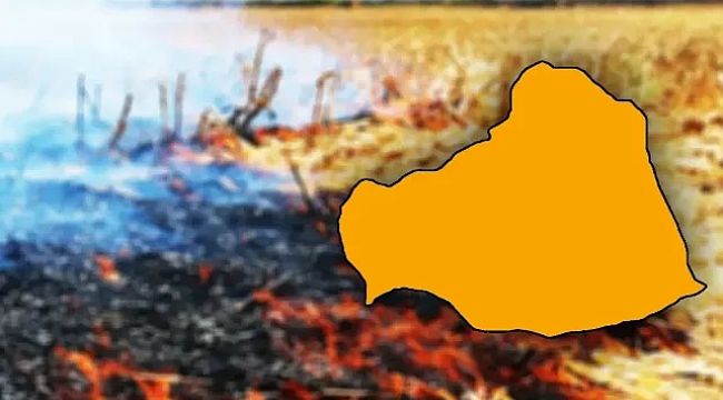 Şanlıurfa'da anız yakanlara büyük cezalar geliyor!
