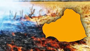 Şanlıurfa'da anız yakanlara büyük cezalar geliyor!