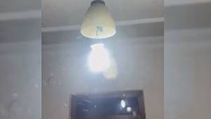 Şanlıurfa'da Haşere İstilası Var! İlaçlama Yetersiz Kalıyor