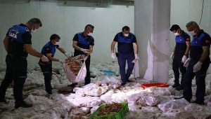 Urfa'da Depo Baskını: 10 Ton Kokmuş Tavuk Eti Ele Geçirildi 