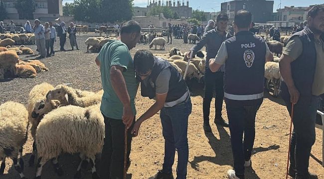 Urfa'da hayvan pazarında 337 şahıs sorgulandı!
