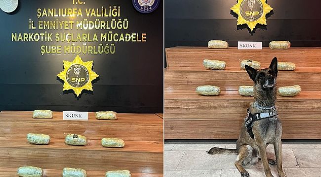 Urfa'da Yüklü Miktarda Uyuşturucu Ele Geçirildi! 1 Gözaltı 