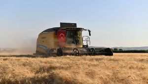 Vali Şıldak Buğday Hasadına katıldı