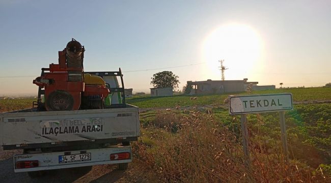 Harran’da Haşere İle Mücadele Devam Ediyor