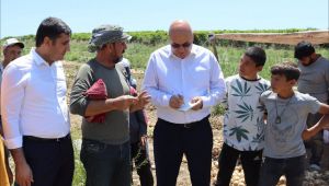 Tanal, Şanlıurfalı İki Kız Kardeşin Ölümünü Meclis Gündemine Getirdi