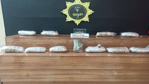 Urfa'da 6 Kilo Skunk Maddesi Ele Geçirildi! 2 Gözaltı