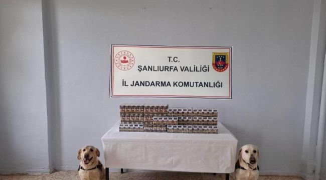 Şanlıurfa Jandarmasından Kaçak Sigara Operasyonu