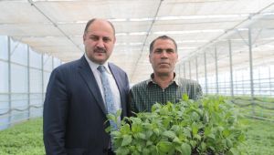 Başkan Gülpınar: “Türkiye’nin Tarım Üssü Olma Yolundayız”