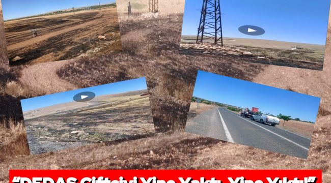 DEDAŞ Yaktı, Çiftçi Yandı: 40 Dönüm Arpa Kül Oldu
