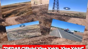 DEDAŞ Yaktı, Çiftçi Yandı: 40 Dönüm Arpa Kül Oldu