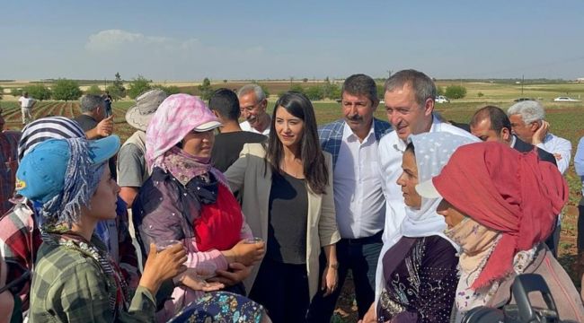 Dilan Kunt Ayan’dan 14 Mayıs Mesajı