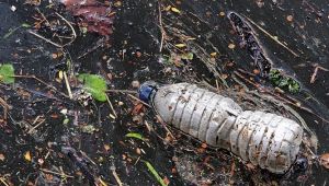 Plastik kirliliğine karşı en yenilikçi çözüm ‘’Biyo-transformasyon’’ Türkiye’de