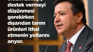 Saadet Partisi Genel Başkanı Arıkan TBMM’de Şanlıurfa’ya Dikkat Çekti