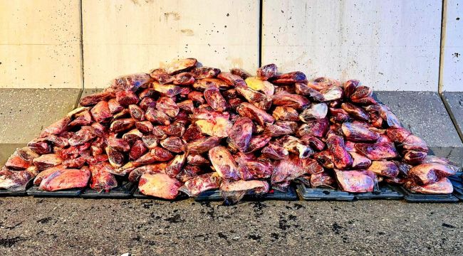  Şanlıurfa'da 1.7 Ton Kaçak ve Sağlıksız Et Ele Geçirildi