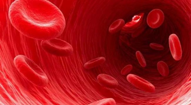 Şanlıurfa’da Hemofili Hastaları Mağdur: Uzman Doktor Eksikliği Krize Dönüştü