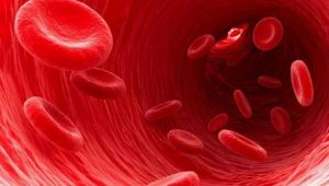 Şanlıurfa’da Hemofili Hastaları Mağdur: Uzman Doktor Eksikliği Krize Dönüştü