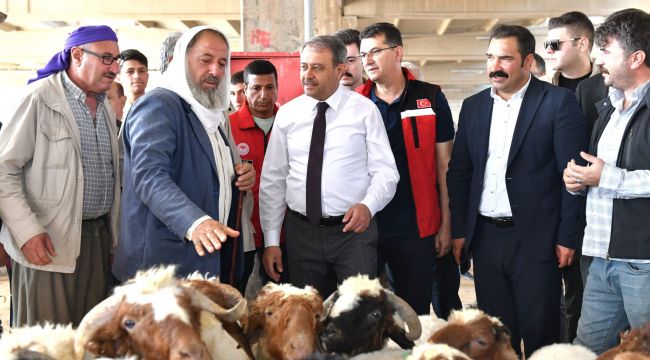 Şanlıurfa’da Kurban Satış Ve Kesim Yerleri Belirlendi