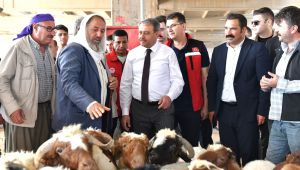 Şanlıurfa’da Kurban Satış Ve Kesim Yerleri Belirlendi