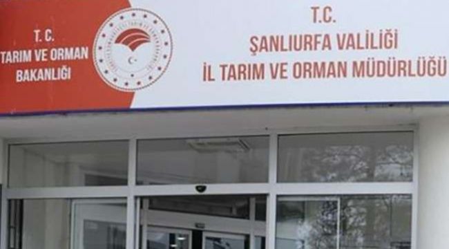 Şanlıurfa Tarım Müdürlüğünden Biçerdöver Uyarısı