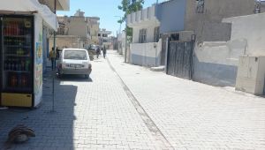 Suruç’ta Altyapı Çalışmaları Hız Kesmiyor