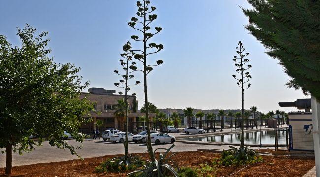 Sabır Çiçeği Harran Üniversitesi’nde Açtı  