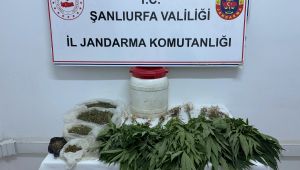 Suruç'ta Uyuşturucu Operasyonu: Kenevir ve Kubar Esrar Ele Geçirildi