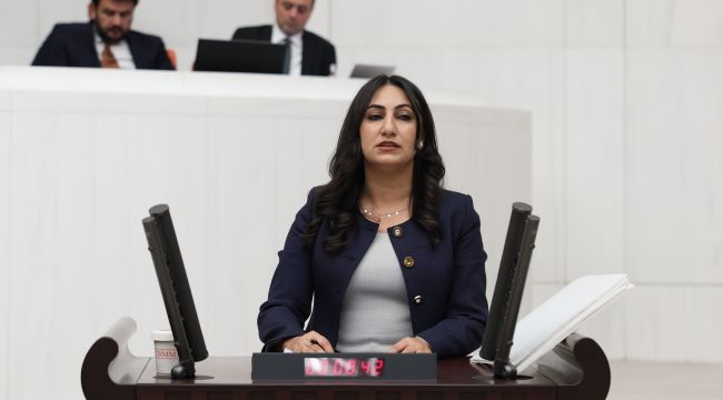 Tarihi Hasan Çelebi Mahallesi Yıkım Tehdidi Altında: TBMM’ye Soru Önergesi Verildi