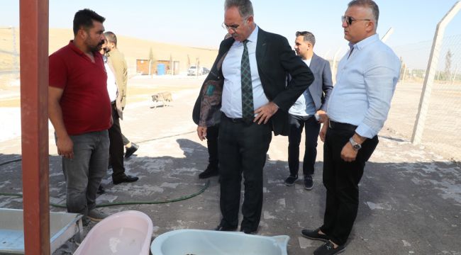 Eyyübiye’de Hayvan Bakımevi Hizmete Giriyor