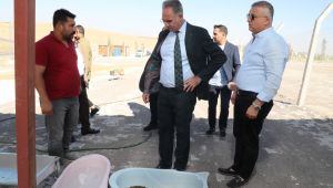 Eyyübiye’de Hayvan Bakımevi Hizmete Giriyor