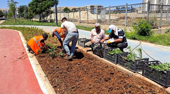 Eyyübiye’nin Çiçekleri Eyyübiye Serakent’ten