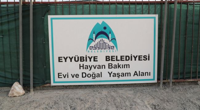 Eyyübiye, Sokak Hayvanları Sorununu Çözdü