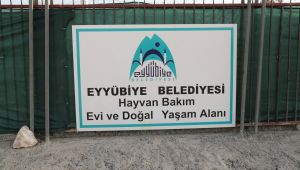 Eyyübiye, Sokak Hayvanları Sorununu Çözdü