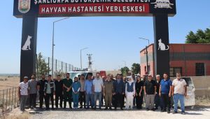 Şanlıurfa’da Sokak Hayvanları İçin Tarihi Adım: Doğal Yaşam Alanı ve Kısırlaştırma Seferberliği Başlatılıyor