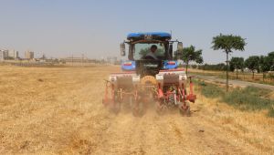 Şanlıurfa’da Yeni Tarım Modeli Uygulandı