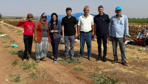 Suruç Belediyesi’nden Çiftçilere Destek Ziyareti