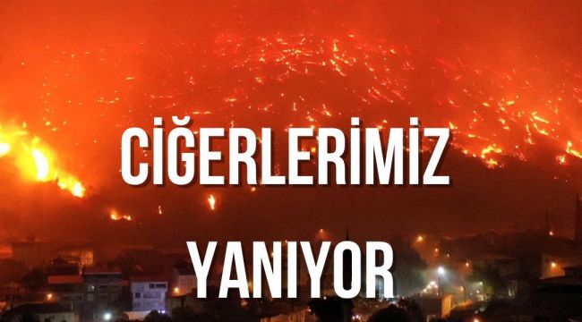 Türkiye’nin Dört Bir Yanında Orman Yangınları: Müdahale Yetersiz, Halk Endişeli