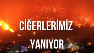 Türkiye’nin Dört Bir Yanında Orman Yangınları: Müdahale Yetersiz, Halk Endişeli