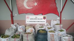 Ceylanpınar’da Hırsızlık Operasyonu: 3 Şüpheli Yakalandı