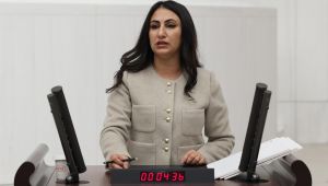 DEM Partili Oduncu’nun gündeme getirdiği Siverek-Viranşehir yolunda çalışmalar başladı
